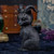 Pawzuph (Large) 26.5cm