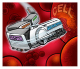 Sulfur Defense OptiMSM® – The Foundation of Health, Recovery, and Performance