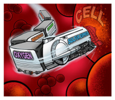 Sulfur Defense OptiMSM® – The Foundation of Health, Recovery, and Performance