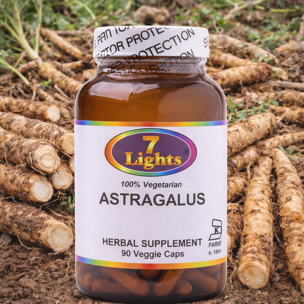 ASTRAGALUS ROOT - ORGANIC (90 V-CAPS)