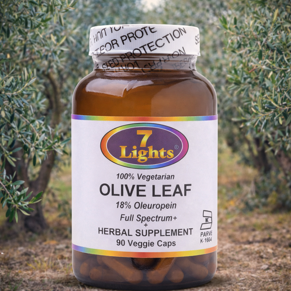 OLIVE LEAF EXTRACT - 18% OLEUROPEIN (90 V-CAPS)