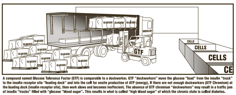Cases Of Diabetes Exploding Among Young Women