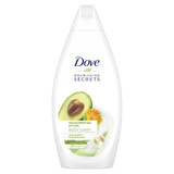 Dove Body Wash Avocado 6x500ml