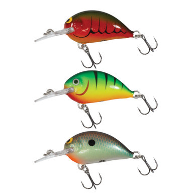 Rumble Bug Micro Kit 3 Pack