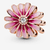 Charm Pandora Margarita Rosa - 788775C01
