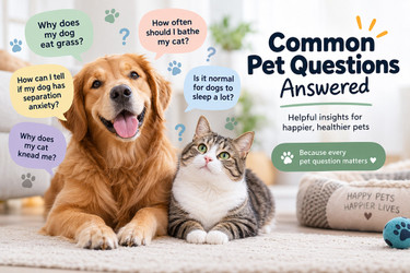 The Most Googled Pet Questions—Answered!