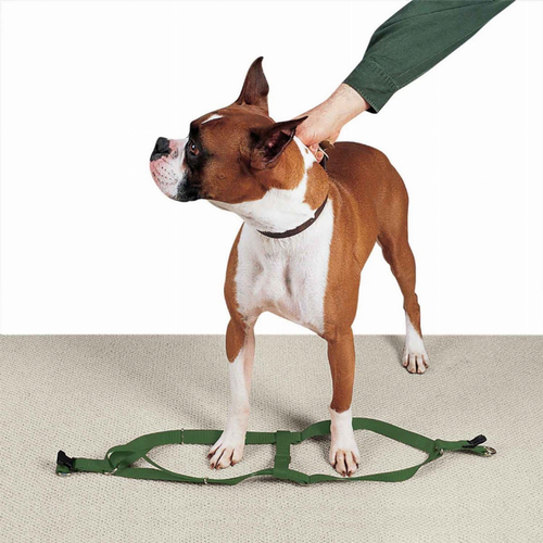 CC Nylon 2 Step Harness 9-15In Grn 9-15in Dark Green