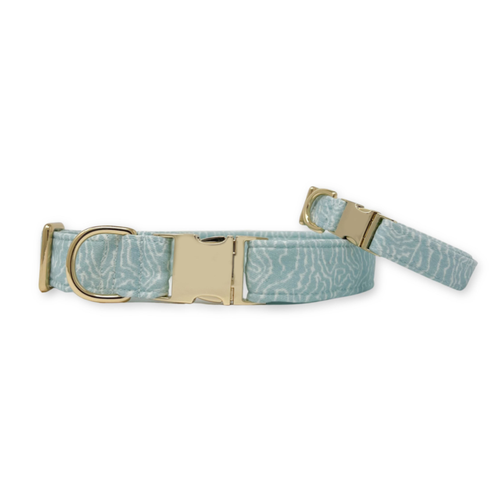 Endless Path Classic Dog Collar S