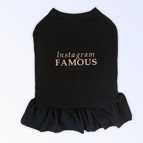 IG Famous Dress X Large