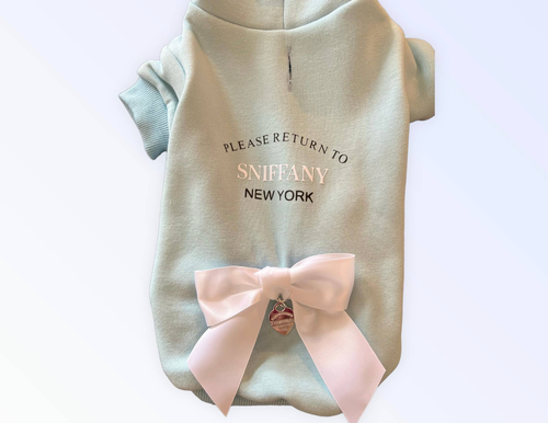 Return to Sniffany Hoodie X Large BLUE