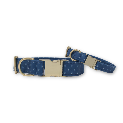 Starry Sky Classic Dog Collar M