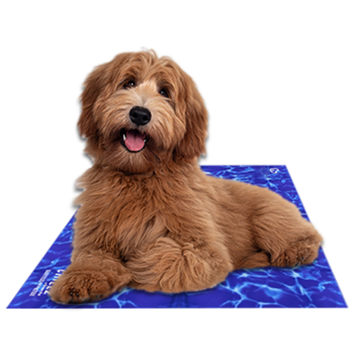 Chillz Gel Mat Pet Bed