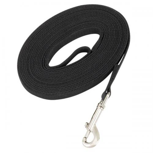 Cotton Web Training Lead