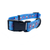Cutie Ties Fun Design Dog Collar Small 4th of July