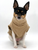 DCNY Cafe Latte Sweater XS