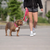 GF Pet Reflective Leash Medium/Large Neon Pink