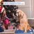Pet Heating Pad Electric