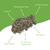 Catnip Bag Pet Treat