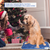 Pet Heating Pad Electric Dog Cat Heating Mat