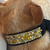 Gilded Noir Crystal Velvet Collar