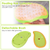 3 In 1 Cat Grooming Steam Brush Hair Brush