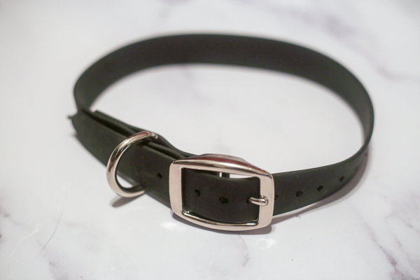 Biothane Buckle Dog Collar Large/XL 16-18 inches Hunter Green