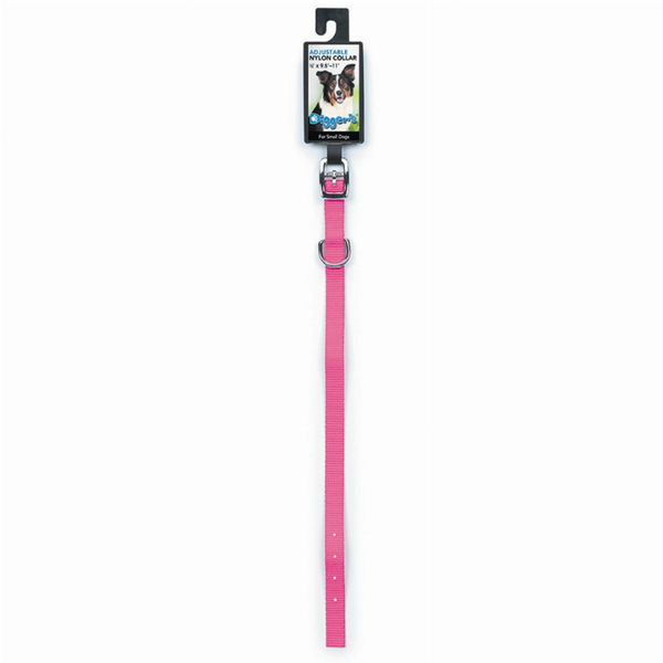 DGR 1/2in Nylon Collar 12in Neon Pink