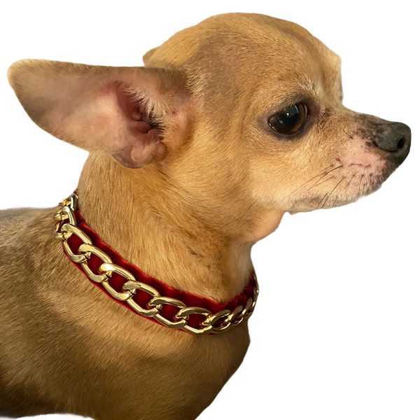 Gold Chain Velvet Collar Large Burgundy