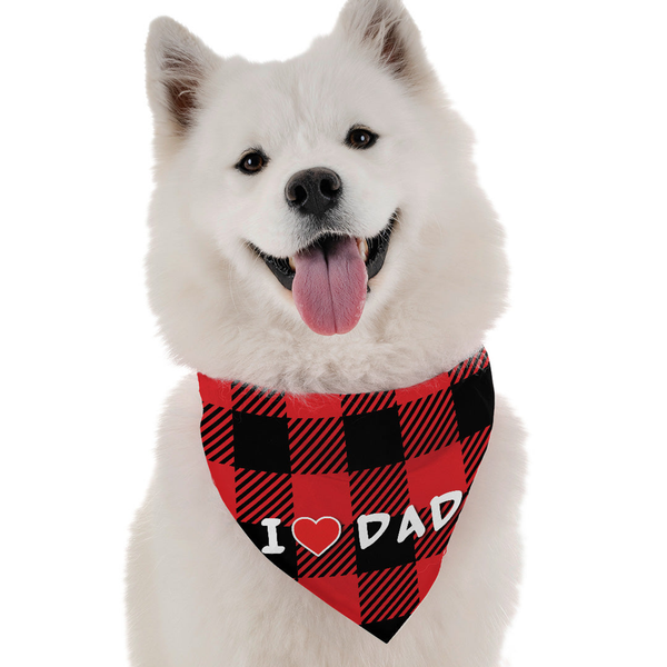 I Love Dad 22" x 22"