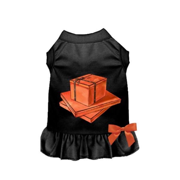 My Favorite Color Orange X Large BLACK