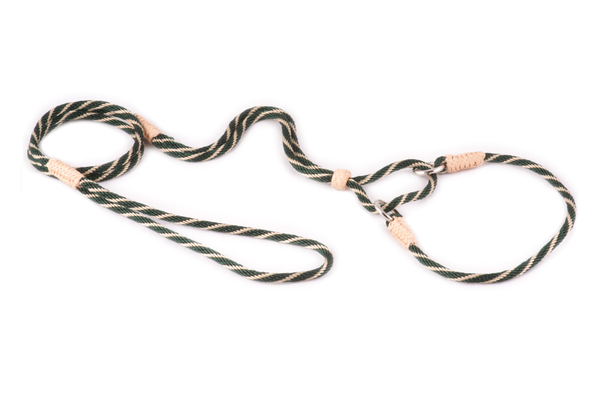 Nylon Martingale Leads (10in x 1/8in or 4mm) Hunter Green / Gold