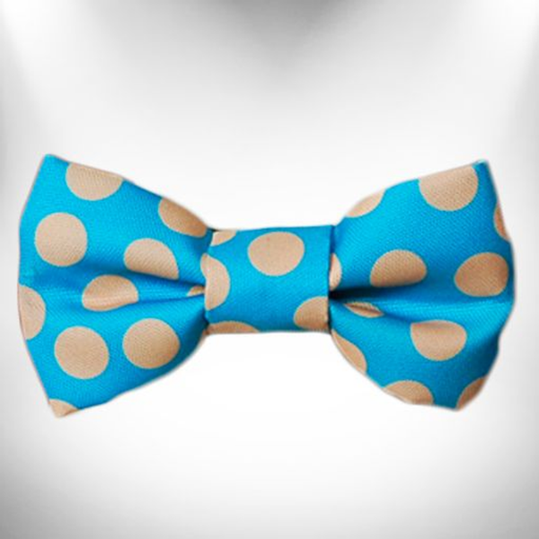 Polka Dot Dog - Tan Dots Bow Tie Tan Dots on Turquoise