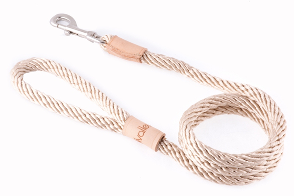 Sport Snap Lead (4 ft x 1/2in or 13mm) Beige