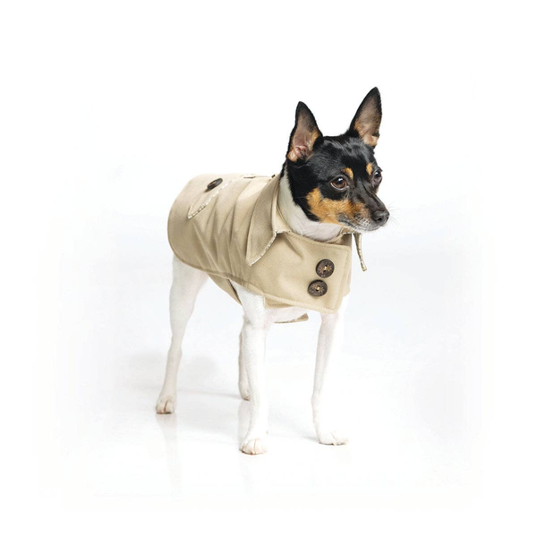 Classic Trench Coat