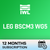 LEG BSCM3 WG5