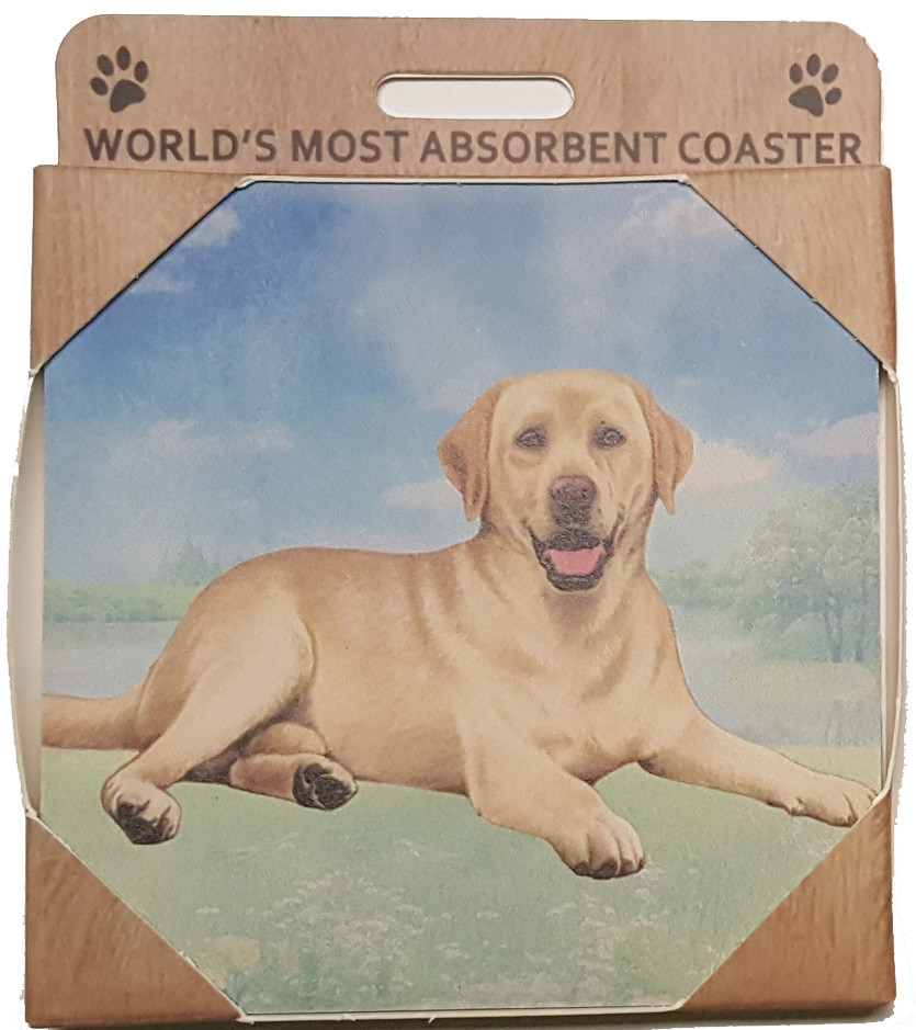 labrador coasters