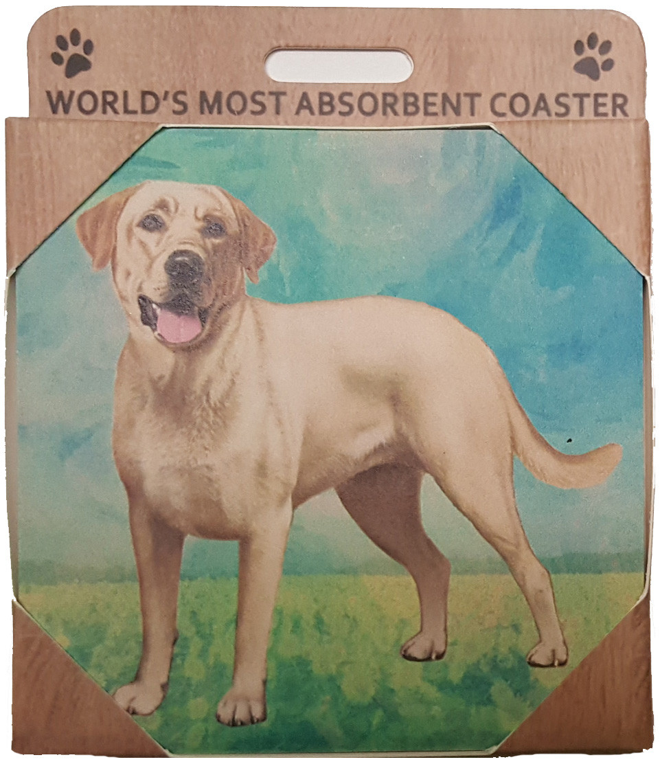 labrador coasters