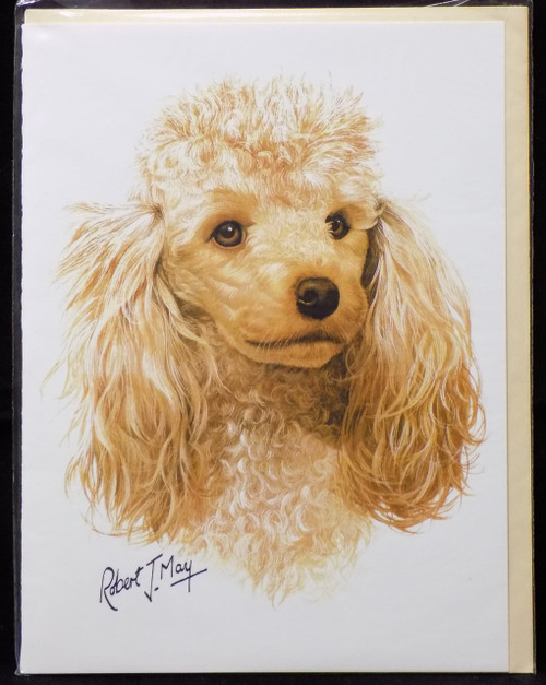 Blank Card with Envelope by Robert May - Apricot Poodle (RGC01C)