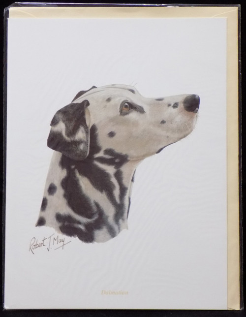 Blank Card with Envelope by Robert May - Dalmatian (RGC02)