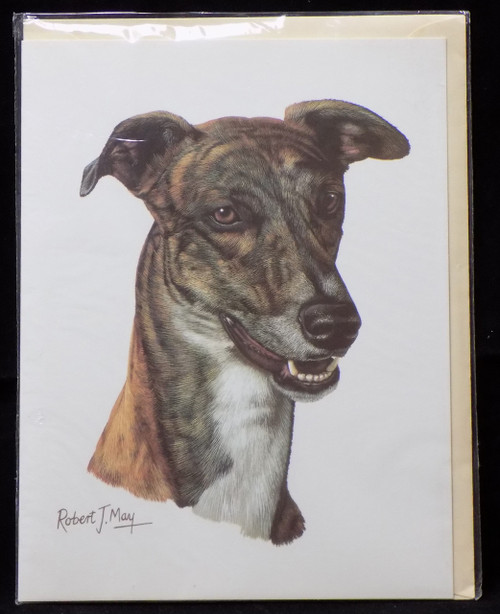 Blank Card with Envelope by Robert May - Greyhound (RGC54C)