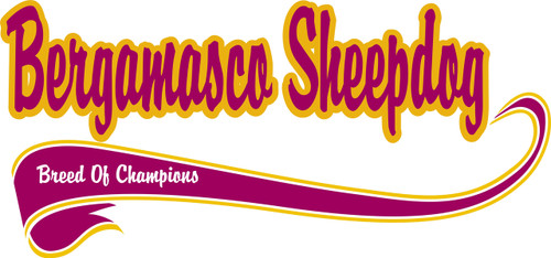 Purple Turtle Gifts - Breed of Champion Tee Shirt - Bergamasco Sheepdog