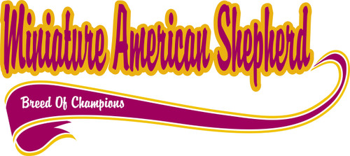 Purple Turtle Gifts - Breed of Champion Tee Shirt - Miniature American Shepherd