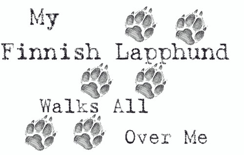 Purple Turtle Gifts - My Finnish Lapphund Walks All Over Me T-Shirt