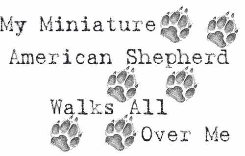 Purple Turtle Gifts - My Miniature American Shepherd Walks All Over Me T-Shirt