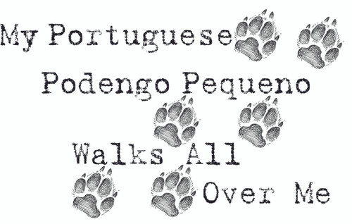 Purple Turtle Gifts - My Portuguese Podengo Pequeno Walks All Over Me T-Shirt