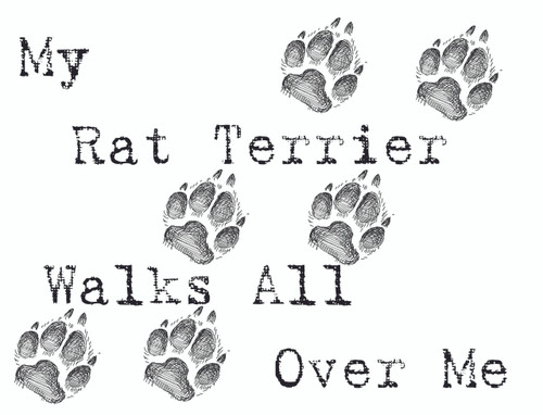 Purple Turtle Gifts - My Rat Terrier Walks All Over Me T-Shirt