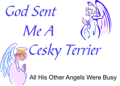 Purple Turtle Gifts - God Sent Me a Cesky Terrier T-shirt