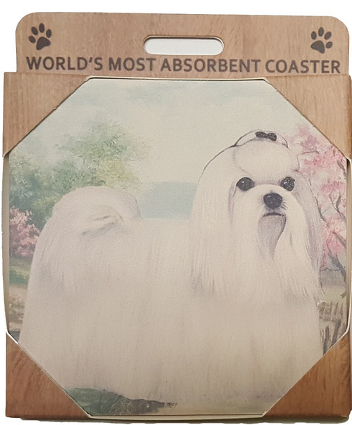 E&S Imports Ceramic Pet Coasters - Maltese (250-24)