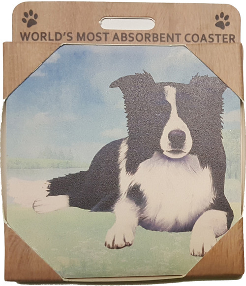 E&S Imports Ceramic Pet Coasters - Border Collie (250-5a)