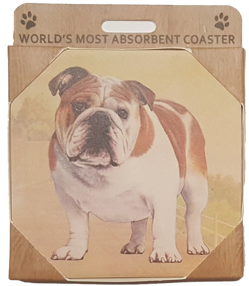 E&S Imports Ceramic Pet Coasters - Bulldog